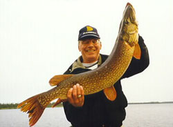 NORTHERN PIKE